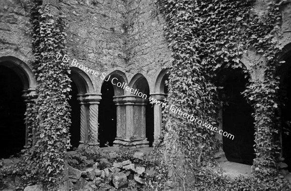 QUINN ABBEY  NORTH EAST CORNER OF CLOISTERS